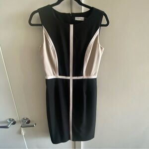 Calvin Klein Black and Cream Panel Dress